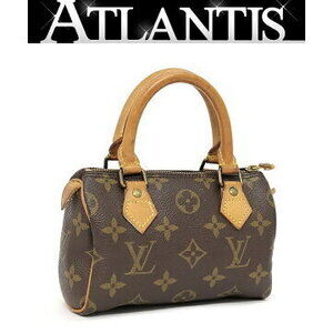 Louis Vuitton Speedy Handbag Monogram